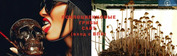 spice Алзамай