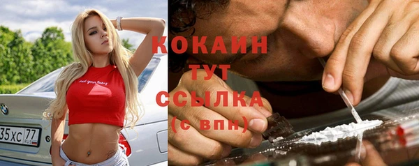 spice Алзамай