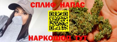 МДПВ Краснодар