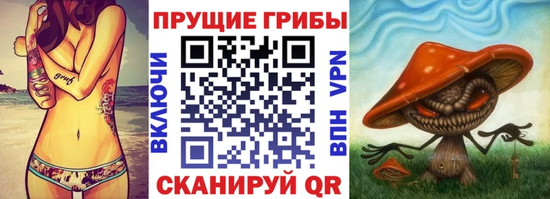 Галлюциногенные грибы Magic Shrooms  хочу   Усть-Илимск 