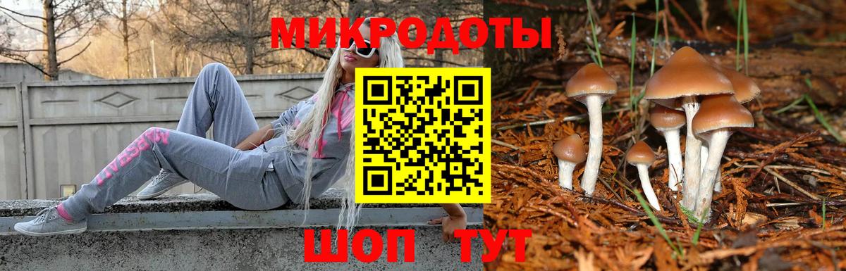 Усть-Илимск  Псилоцибиновые грибы Magic Shrooms  Вход с VPN 